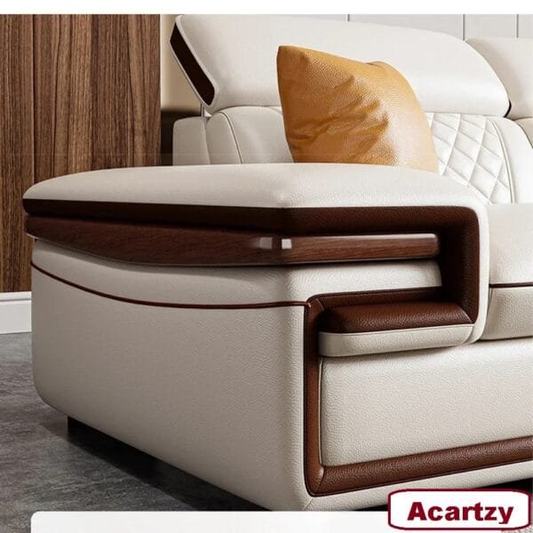 Luxury smart leather sofa set designed for modern homes with innovative features.